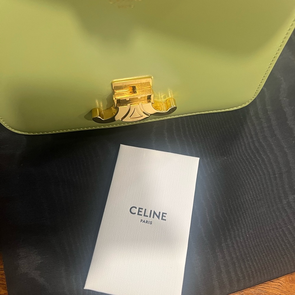 Celine Teen Triomphe Bag in Shiny Calfskin in Light Jade - Picture 11 of 11